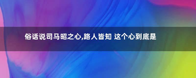 俗话说司马昭之心,路人皆知 这个心到底是什么